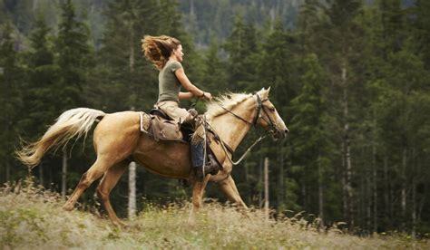 How Dangerous Is Horseback Riding Part Wild Horses Mane On Both Sides