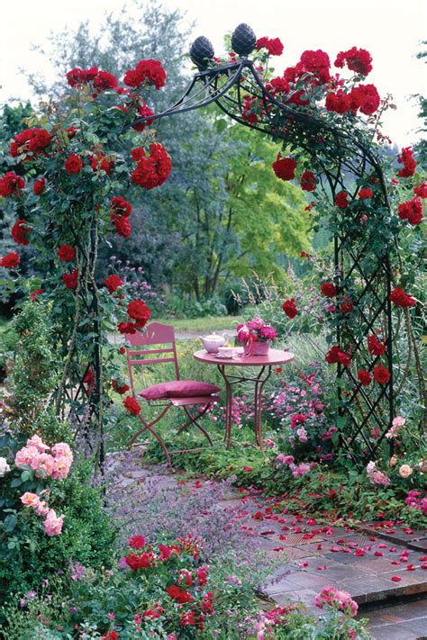 Rose Gardens Of Stunning Blooms And Magical Scents Classic Garden