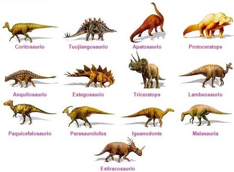 Tipos De Dinosaurios Dinosaurios Tipos De Dinosaurios Nombres De