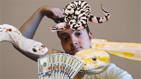 Most Expensive Snake In The World Jimmy Mendham Youtube
