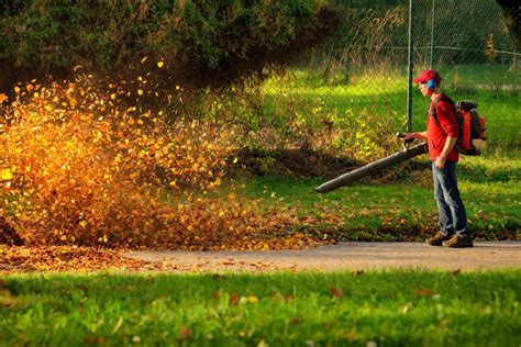 How To Hire Great Lawn Care Landscaping Employees