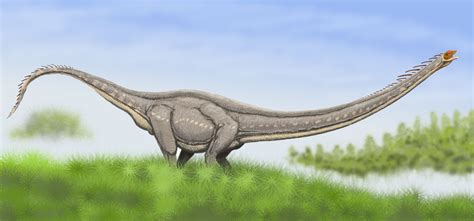 Mamenchisaurus Prehistoric Life Wiki Fandom
