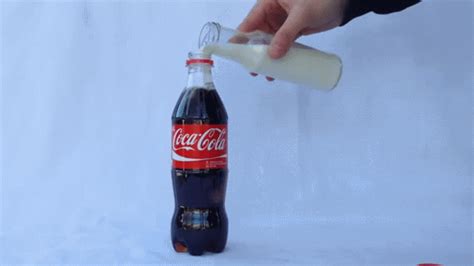 Coca Cola And Milk The Reaction You Will Get