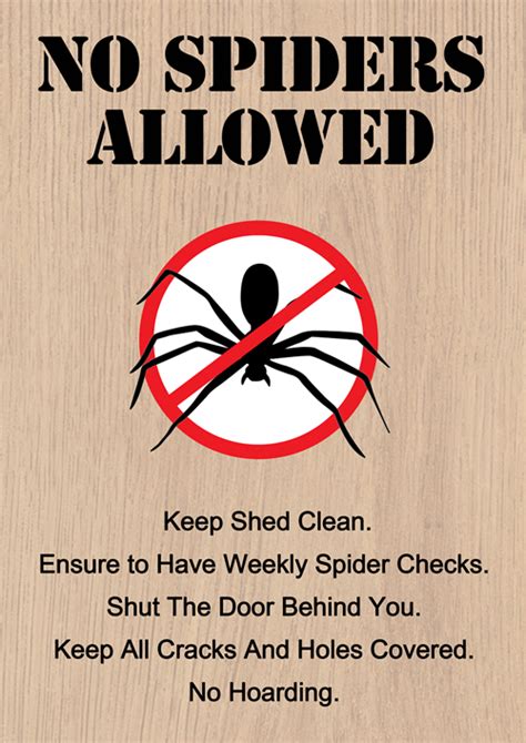 Spiders are also eaten by humans; How to Spider-Proof Your Home (There's One Thing That ...
