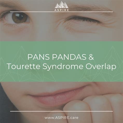 Pans Pandas And Tourette Syndrome The Overlap Aspire