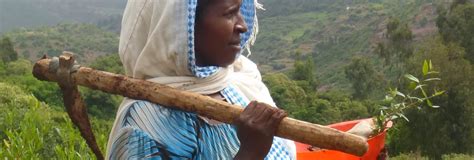 Reforestation For People And The Environment Foundation Green Ethiopia