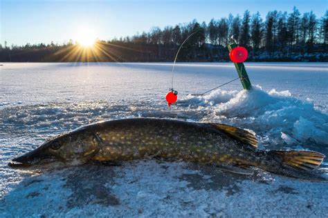 Maybe you would like to learn more about one of these? Best Places To Go Ice Fishing in Michigan - Travel with Pedro