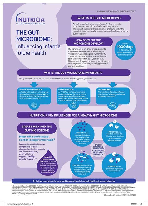 The Gut Microbiome Influencing Infants Future Health Infographic