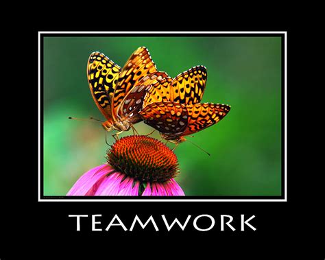 Teamwork Inspirational Motivational Poster Art Photograph By Christina