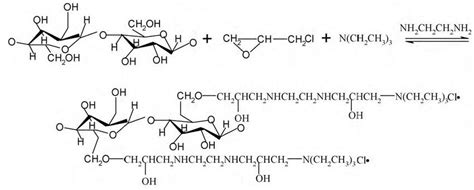 Schematic Presentation Of The Synthesis Of Modified Lignocellulose Download Scientific Diagram