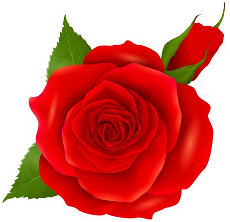Red Rose Bud Png