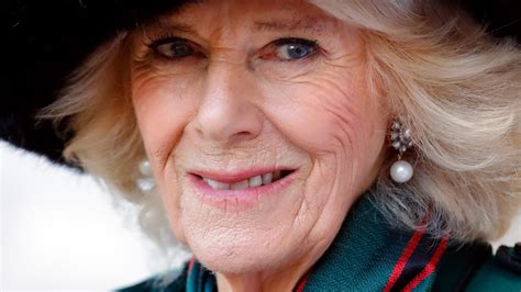 Camilla Parker Bowles Just Took On This Important Royal Duty