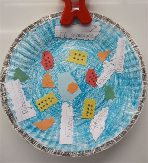 Animal And Plant Cell Mini Project Plant Cell Science Curriculum And