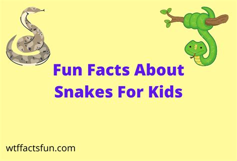 Top 21 Fun Facts About Snakes For Kids