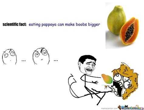 Memes De La Papaya Funny Memes