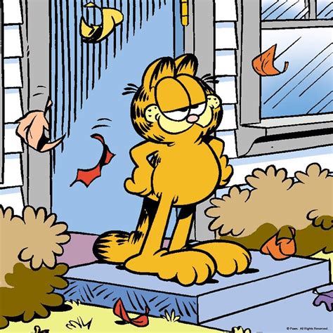 Garfield Quotes Garfield Pictures Garfield Cartoon Garfield Comics
