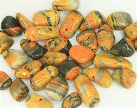 On friday 25th march 2016, steve o'hear broke the news headlines that bumble is almost 80% owned by badoo and as a consequence allegedly managed by the extremely effective, effective and secretive russian entrepreneur andrey andreev. Bumble Bee Jasper - Every GEM has its Story! BulkGemstones.com
