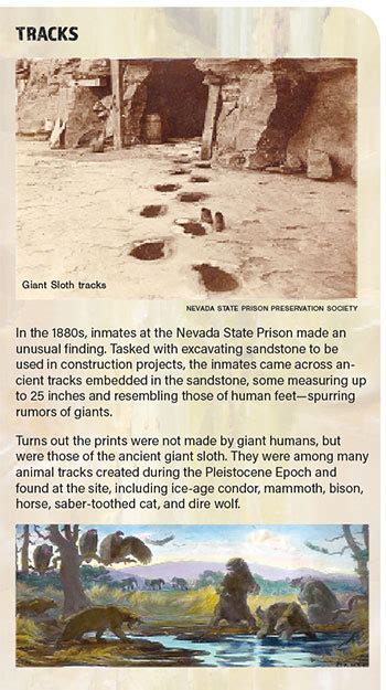 Ancient Nevada Part V Plants And Animals Nevada Magazine