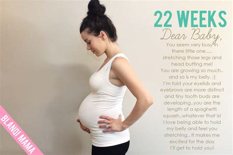 Baby Book 22 Weeks Bump