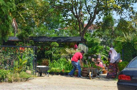 Dapatkan lebih daripada 500 produk pasar borong di laman web ini. My little vegetable garden: Nursery Pasar Borong Selangor ...