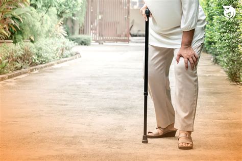 Kenali Penyebab Osteoporosis Gejala Hingga Pengobatannya