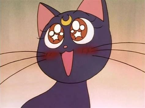 Luna Is Cute Sailor Moon Aesthetic Sailor Moon Cat