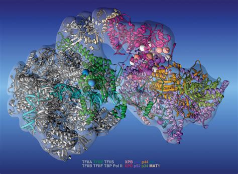 New Paper In Nature Structural And Molecular Biology Integrative