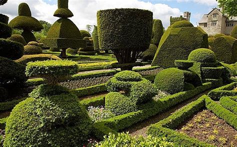 Experts Guide To Trimming Topiary And Hedges Telegraph Conifers