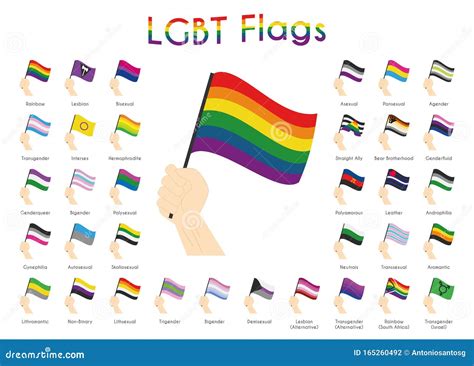 Juego De 34 Banderas Del Orgullo Lgbt Sexual Y De Género Ilustración Del Vector Ilustración