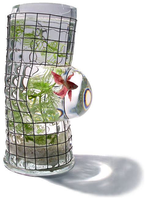 We did not find results for: Decorative Fish Tanks - cool fish aquarium by Vanessa Mitrani