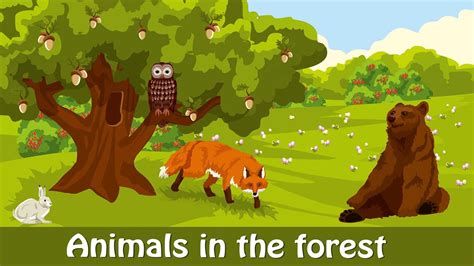 Learn Forest Animals Forest Animals Names Learning