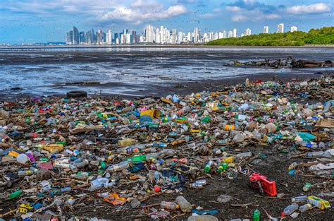 Environmental Pollution Caused By Overuse Of Plastic Typelish