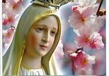 Mary Mother of God Wallpaper ·① WallpaperTag