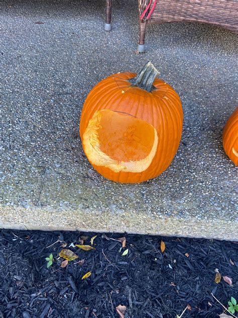 Pumpkin Thief 🎃 A Georgetown Ky Man Caught An Early Trick Or