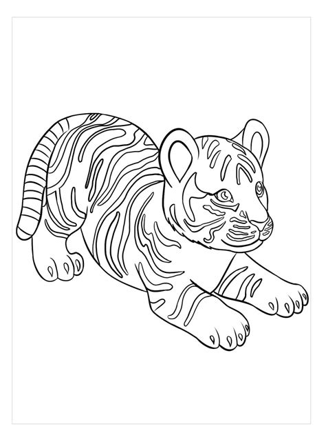 Beb Tigre Sentado Para Colorear Imprimir E Dibujar Dibujos Colorear Com