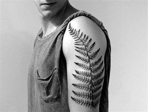60 Leaf Tattoo Designs For Men The Delicate Stages Of Life Fern