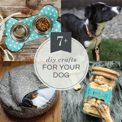 7 Diy Dog Projects Lia Griffith