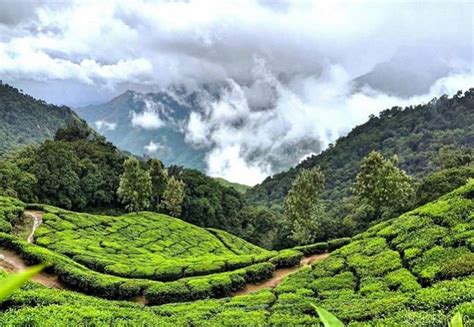 The whole of thekkady can be seen within 2 days. Munnar Thekkady Tour Packages | 2 Nights 3 Days Holiday ...