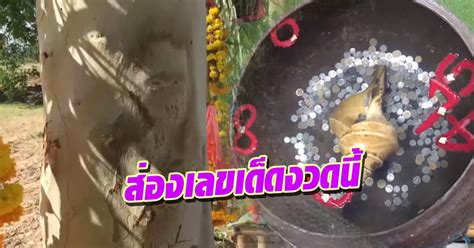 Maybe you would like to learn more about one of these? รวมเลขเด็ด วันหวยออก 16 มิถุนายน 2562 เลขไหนดัง คนแห่ซื้อ ...