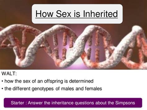 How Sex Is Inherited Teaching Resources