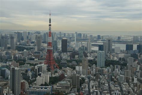 It's a comedy about melancholy, a romance without consummation, a travelogue that rarely hits the road. lost in translation - 5 day tokyo city break - journeylism.nl