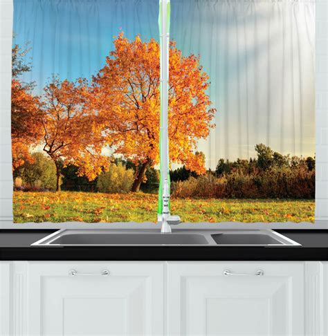 Autumn Kitchen Curtains Autumn Sight With Pale Falling Leaves In The