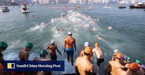 Taking The Plunge Record Number Of Entries For Hong Kongs Iconic