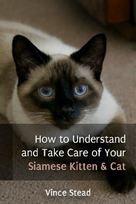 Here's how to do it. Tablo | Read 'How to Understand and Take Care of Your ...