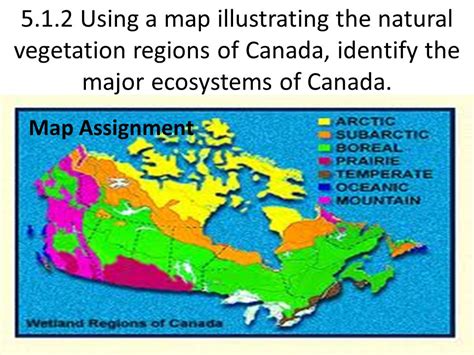 7 Vegetation Regions Of Canada Andi Healthy