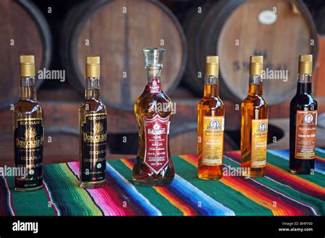 Tequila En La Destilería De Alcohol En Botellas Cerca De Puerto