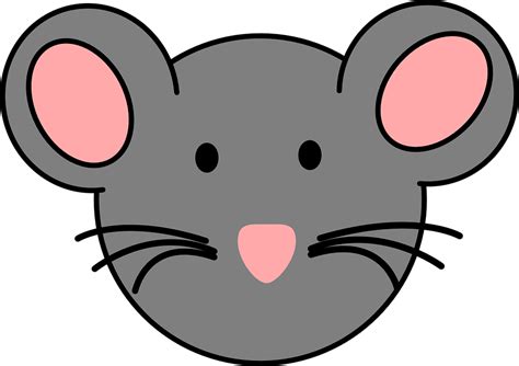 Ratón Rostro Animal Gráficos Vectoriales Gratis En Pixabay Pixabay