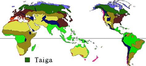 Geography Of The Taiga