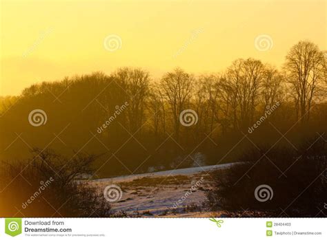 Morning In The Field Stock Image Image Of Sunny Shadow 28404403