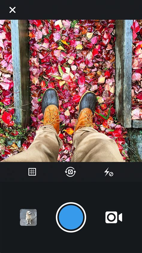 How to download & save instagram live videos of others: Instagram Improves the Resolution of Photo Uploads to ...